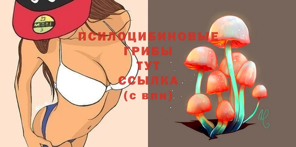 сатива Белая Холуница