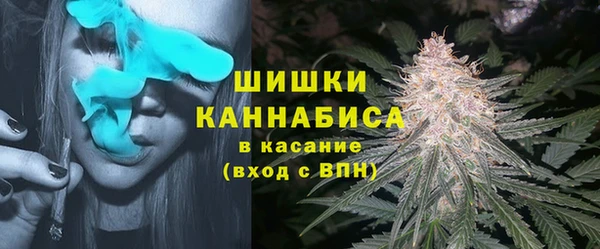 сатива Белая Холуница