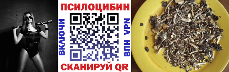 Галлюциногенные грибы мицелий  Купить закладки  Боровск 